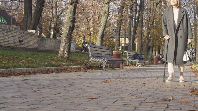 Mature lady in elegant suit and fashionable coat slowly walking with cane along autumn park feeling pain, joint dislocation or tendon sprain, rehabilitation period