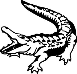 crocodile in a black and white