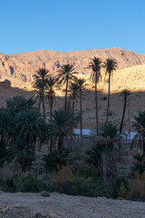 Scenic view from El Kantara, Biskra
