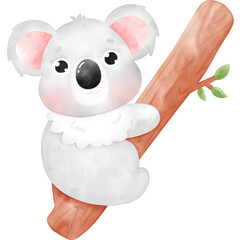 Fototapeta premium Cute Koala illustration