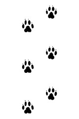 Fototapeta na wymiar Animals feet track. Dog black paw, walking feet silhouette or footprints. Trace step imprints isolated on white. Walking tracks paws illustration