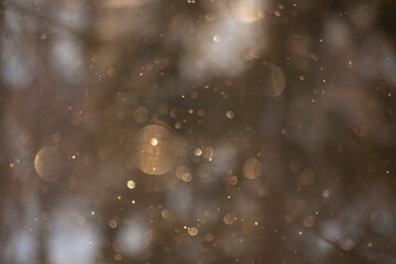 Snow Macro Shooting. Snow glitters in sun. Solar texture. Winter background.