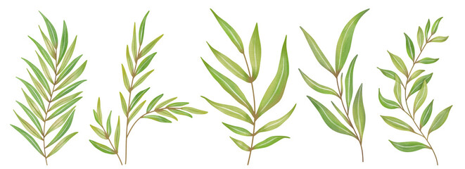 Watercolor Leaves Green, Branch painting leaf art