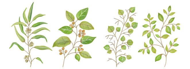 Watercolor Leaves Green, Branch painting leaf art