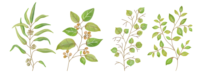 Watercolor Leaves Green, Branch painting leaf art