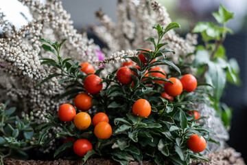 Beautiful seasonal composition of forest flowers in a wood vase on a wooden table. Shallow depth of field