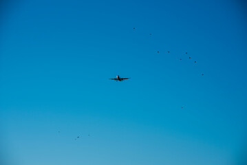 Flying plane in the blue sky