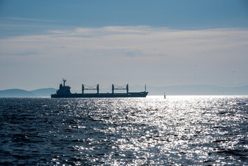 The ship sails through the Bosphorus in the morning