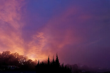 Die faszinierende Welt Borneos