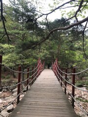 Obraz premium 한국의 아름다운 자연 환경