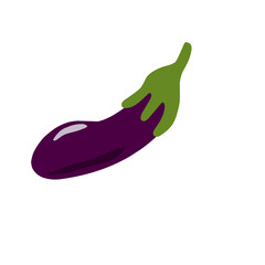 Eggplant cobs vector cartoon flat icon of vegetable Isolated of white background, illustration of eggplant fruit