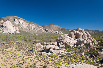 joshua tree national park california hall of horrors landscape