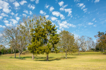 Site of the abandoned Fort Rosalie built by the French in 1716 within the territory of the Natchez Native Americans on South Canal Street, Natchez, Adams County, Mississippi