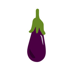 Eggplant vegetable illustration in white background, hand drawn vegetable illustration 