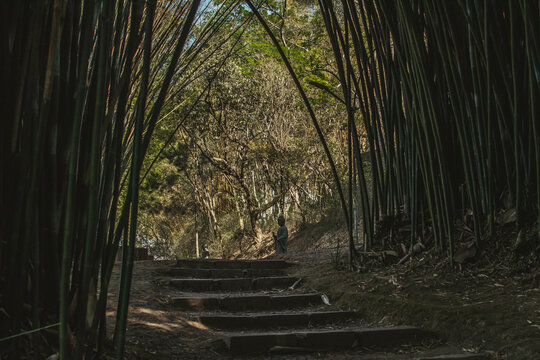 Templo Zu Lai, Cotia - SP