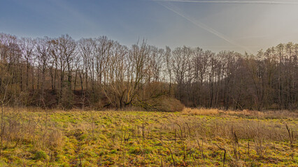 View across a field to the Hahnheide nature reserve