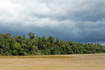 Die faszinierende Welt Borneos