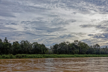 Die faszinierende Welt Borneos