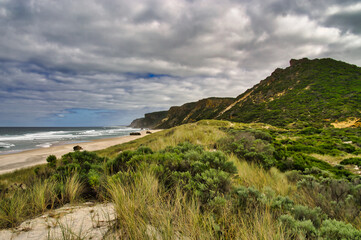 Sand dunes with marram grass, cliffs and beach at the south coast of Australia. Salmon Beach, Windy Harbour, Western Australia.
