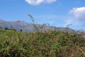 Obraz premium Voyage en Corse