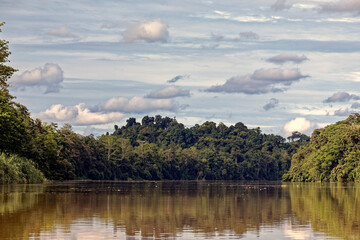 Die faszinierende Welt Borneos