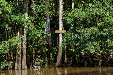 Die faszinierende Welt Borneos
