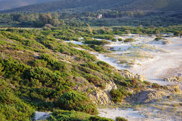Plage de l'Ostricani
