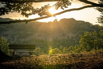 Bank in der L&uuml;neburger Heide