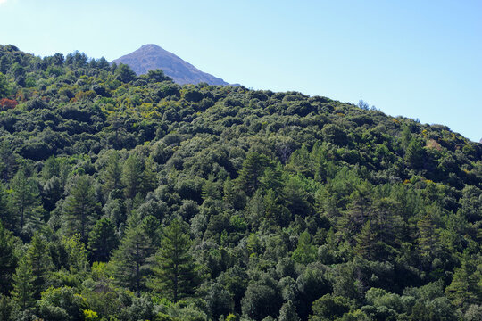 Montagnes corses