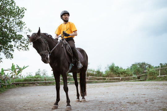 Male Equestrian Athlete Wearing Horse Riding Gear Holding Reins In Court