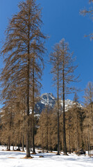 View to snow covered mountain peaks of the Sesto Dolomites in Winter. Alps, South Tyrol, Alto Adige, Italy, Europe