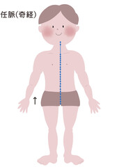 奇経八脈の任脈の流注を男性の身体で表したイラスト