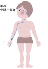  手の少陽三焦経の流注を男性の身体で表したイラスト