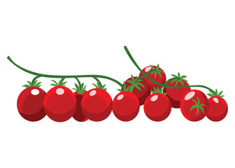 Assorted fresh vegetables. Farmers marker, grocery store, zero waste shop. Local market food, fresh and organic farm products. Delicious and healthy food