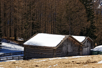 Old wooden huts in a mountain forest in late winter, Alps, Europe