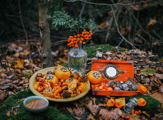 autumn still life