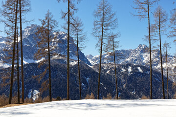 View to snow covered mountain peaks of the Sesto Dolomites in Winter. Alps, South Tyrol, Alto Adige, Italy, Europe