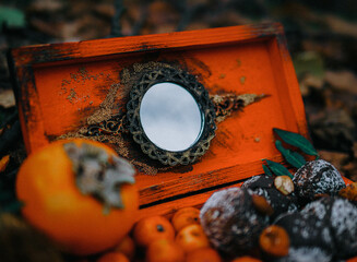 halloween pumpkin with a pumpkin