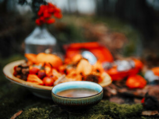 vegetables in a garden