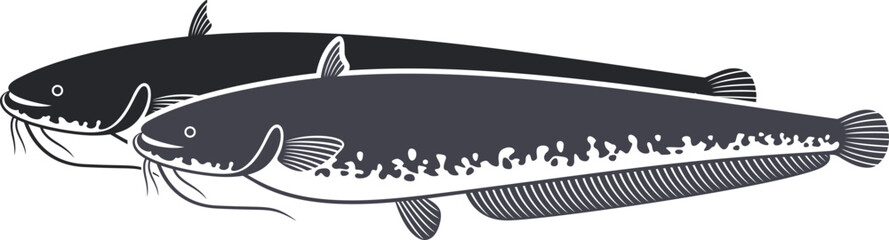European  catfish logo. Isolated catfish on white background - obrazy, fototapety, plakaty