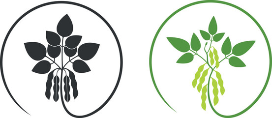 Soybean logo. Isolated soybean on white background