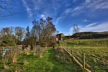 Low sun picks out pastures and garden on Christmas day on the North Yorkshire smallholding at 900ft