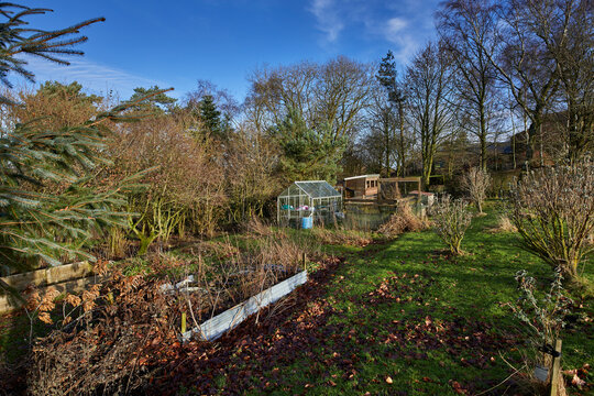 Late afternoon and the Christmas sun picks out the North Yorkshire smallholding kitchen garden at 900ft.