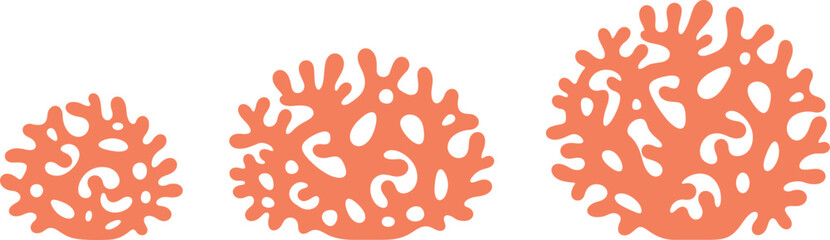 Crop stages of coral. Isolated coral on white background