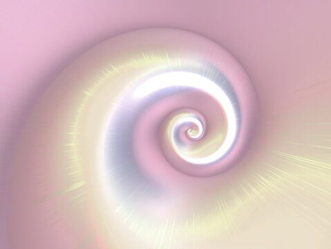 Nautilus pink shell abstract background  - nautilus shell nacre backdrop - mollusc iridescent equiangular spiral 
