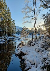 Lake in Winter - Loch an Eilein