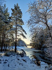 Lake in Winter - Loch an Eilein