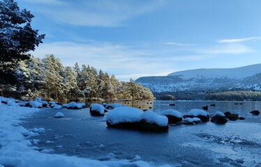 Lake in Winter - Loch an Eilein