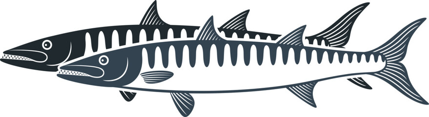 Barracuda logo. Isolated barracuda on white background