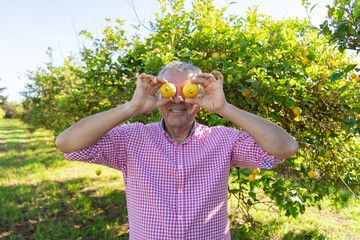 Smiling senior man with two lemons in his eyes in an organic lemon orchard. Lemons with denomination of origin, Murcia, Spain. Concept sustainable plantation and respectful with the environment - obrazy, fototapety, plakaty